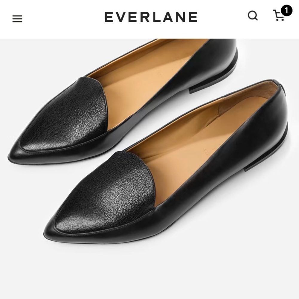 Everlane “The Modern Point” Flat